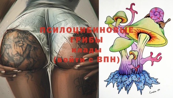 прущие грибы Куйбышев