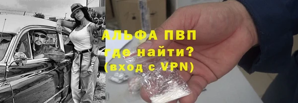 прущие грибы Куйбышев