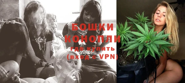 прущие грибы Куйбышев